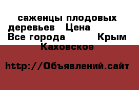 саженцы плодовых деревьев › Цена ­ 6 080 - Все города  »    . Крым,Каховское